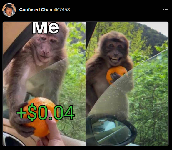 Happy monkey after receiving 4 cents